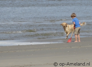 Take your dog to a seaside cottage