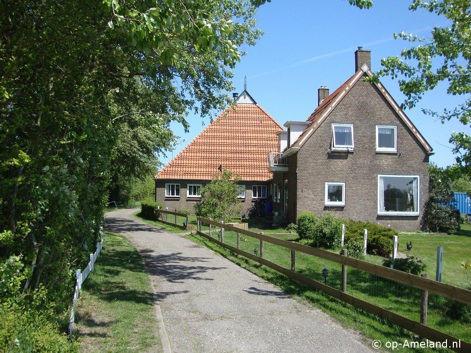 Hollumer Trap, Take your dog to a seaside cottage