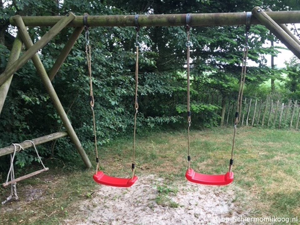 IJsvogel